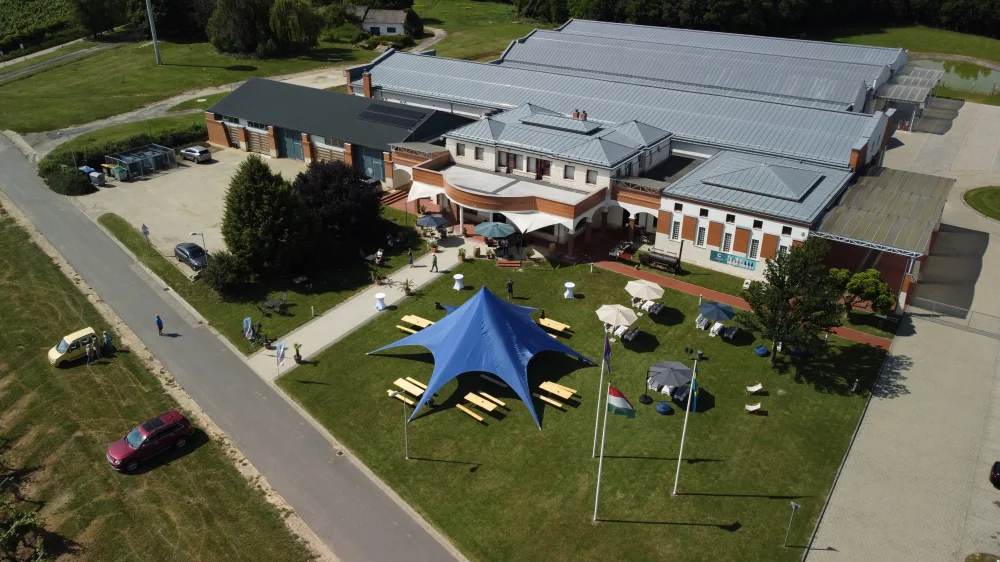 borászati rendezvények