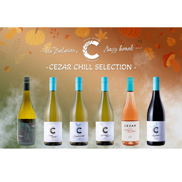 borválogatás céges borkóstolás